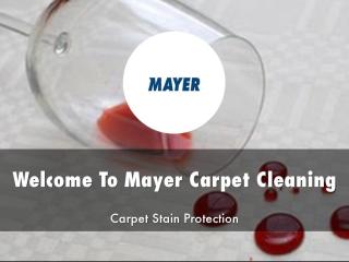 Mayer Carpet Cleaning Presentations.pdf